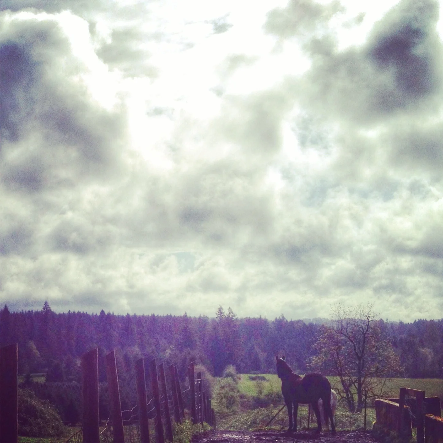 Wednesday Words: Start Where You Stand