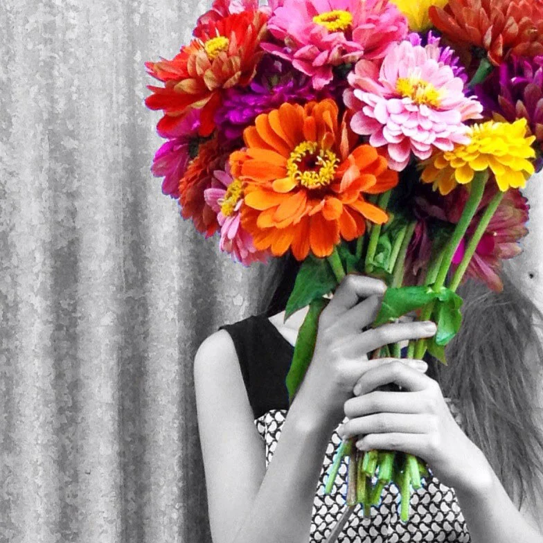 Cut Flowers From the Garden