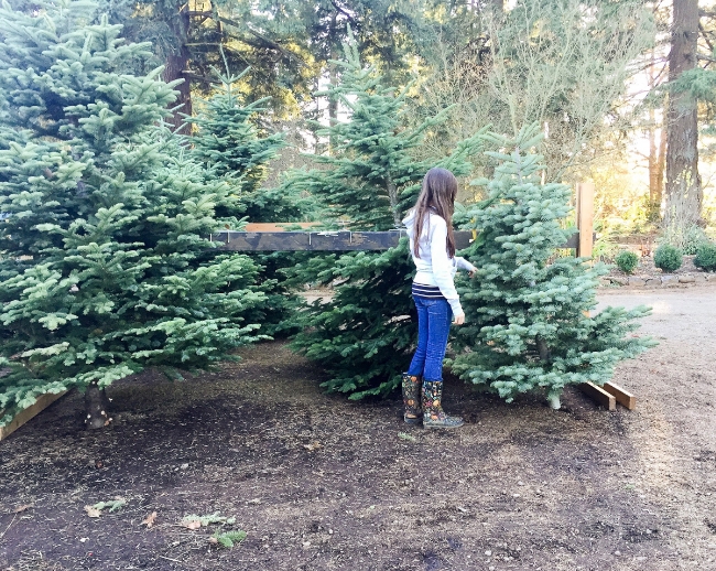 tree stand.jpg