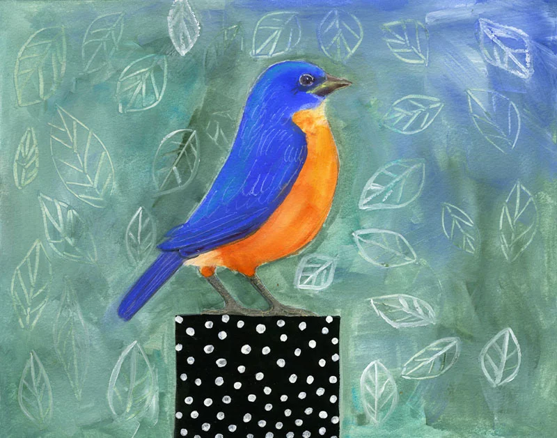 Bluebird Dotted Black Box 11X14