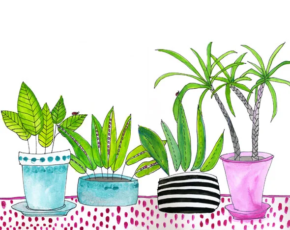 houseplants.jpg