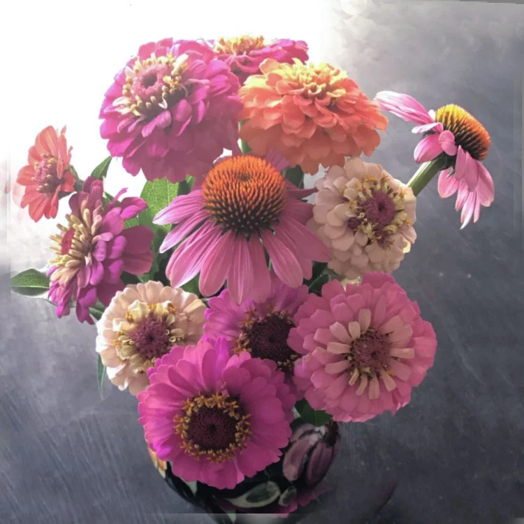 New Flower Painting Series