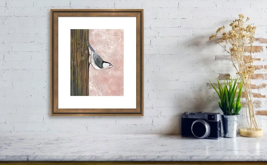 NuthatchRV.jpg