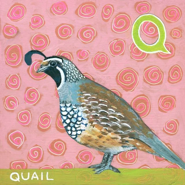 Q for Quail