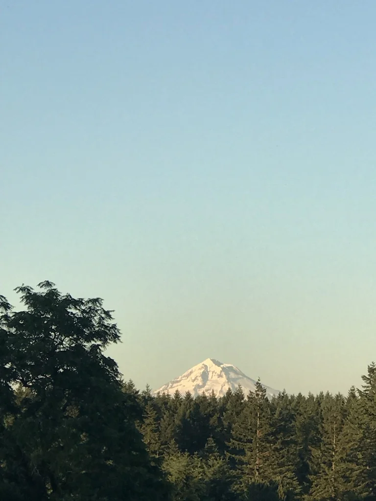 On a clear day you can see Mt Hood from the studio