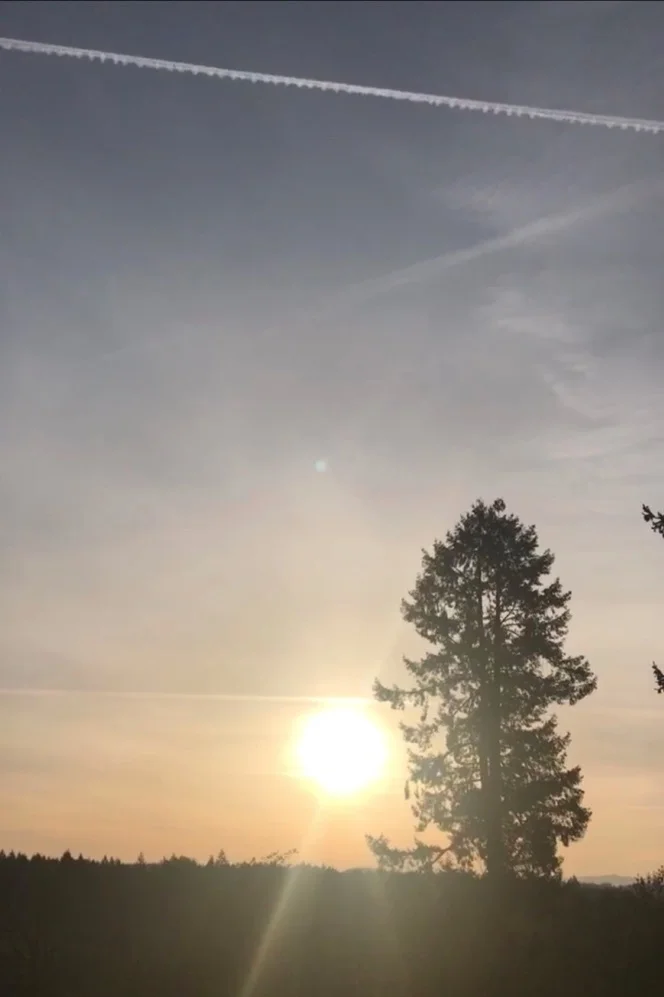 Early morning sunrise view from the back of the studio