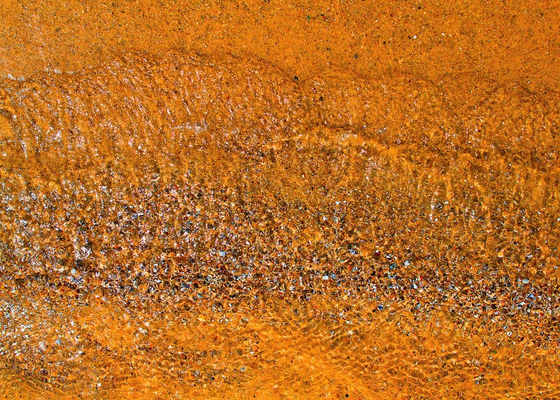 Spirit Of Wine, 2011