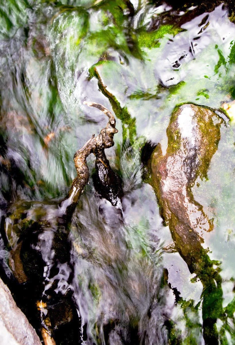 Likho, 2012