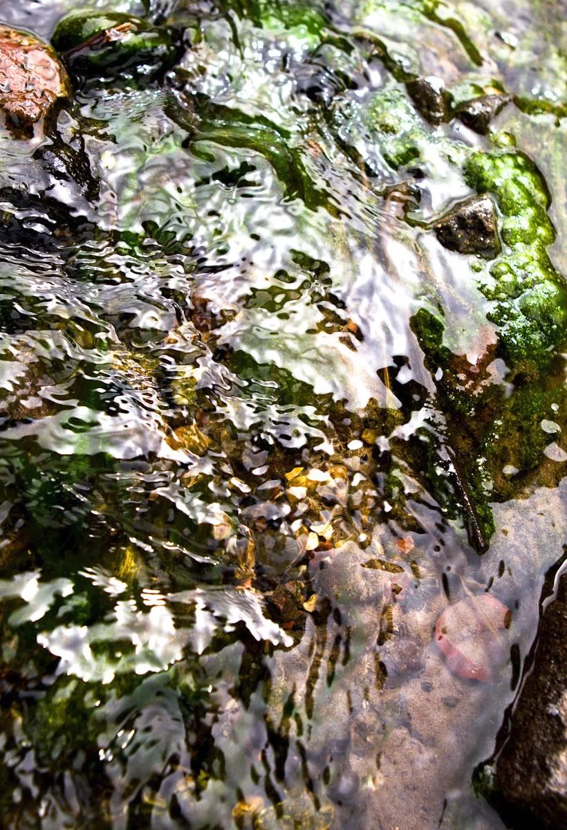 Rusalka, 2012