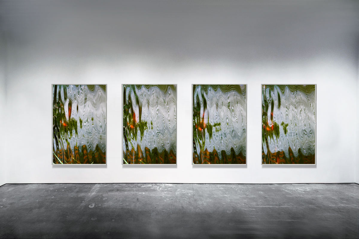Behind The Veil, 2014