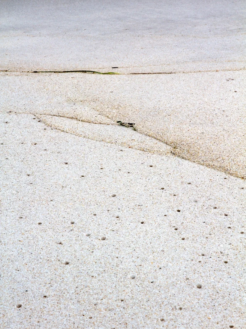 Incision