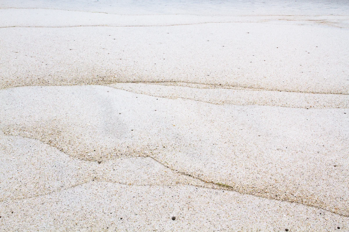 Dirty Little Secret, 2014
