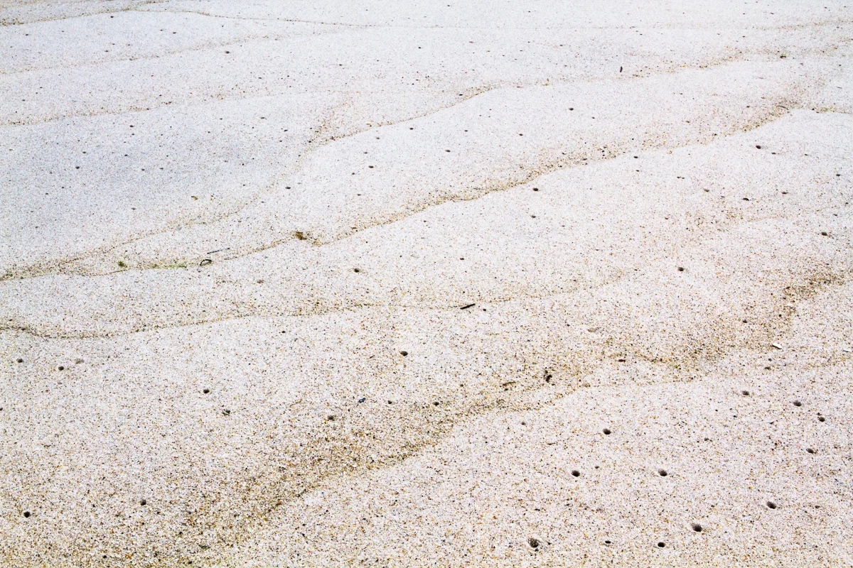 Tears in the Rain, 2014