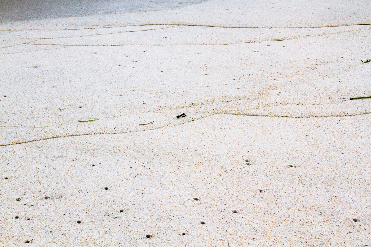 What Lies Beneath, 2014