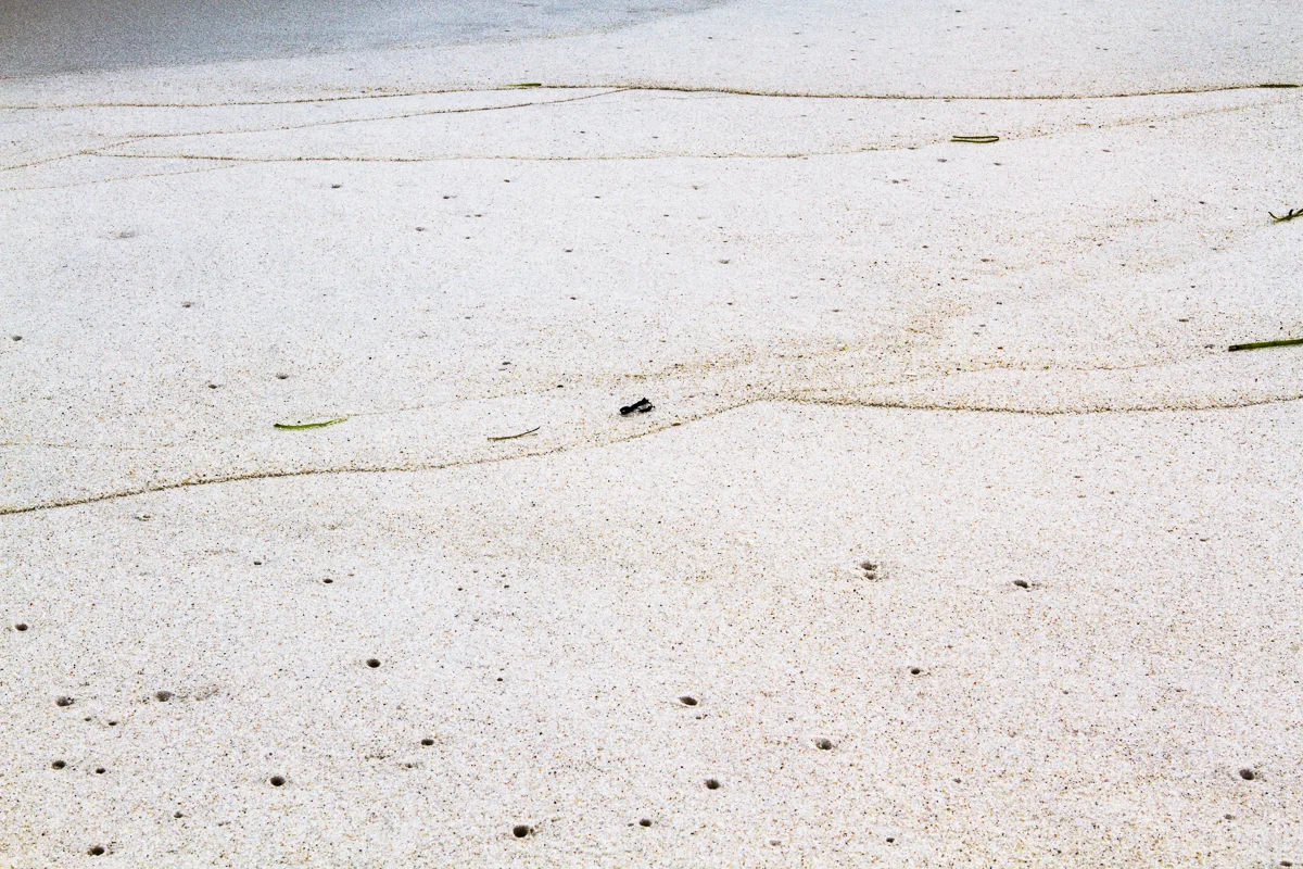 What Lies Beneath, 2014