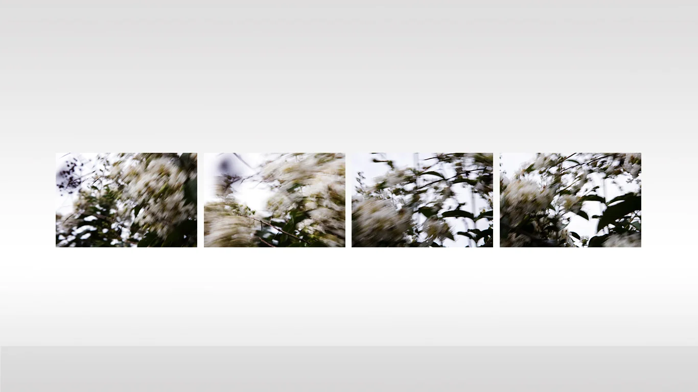 Bloweing-in-the-wind-wall-7.jpg