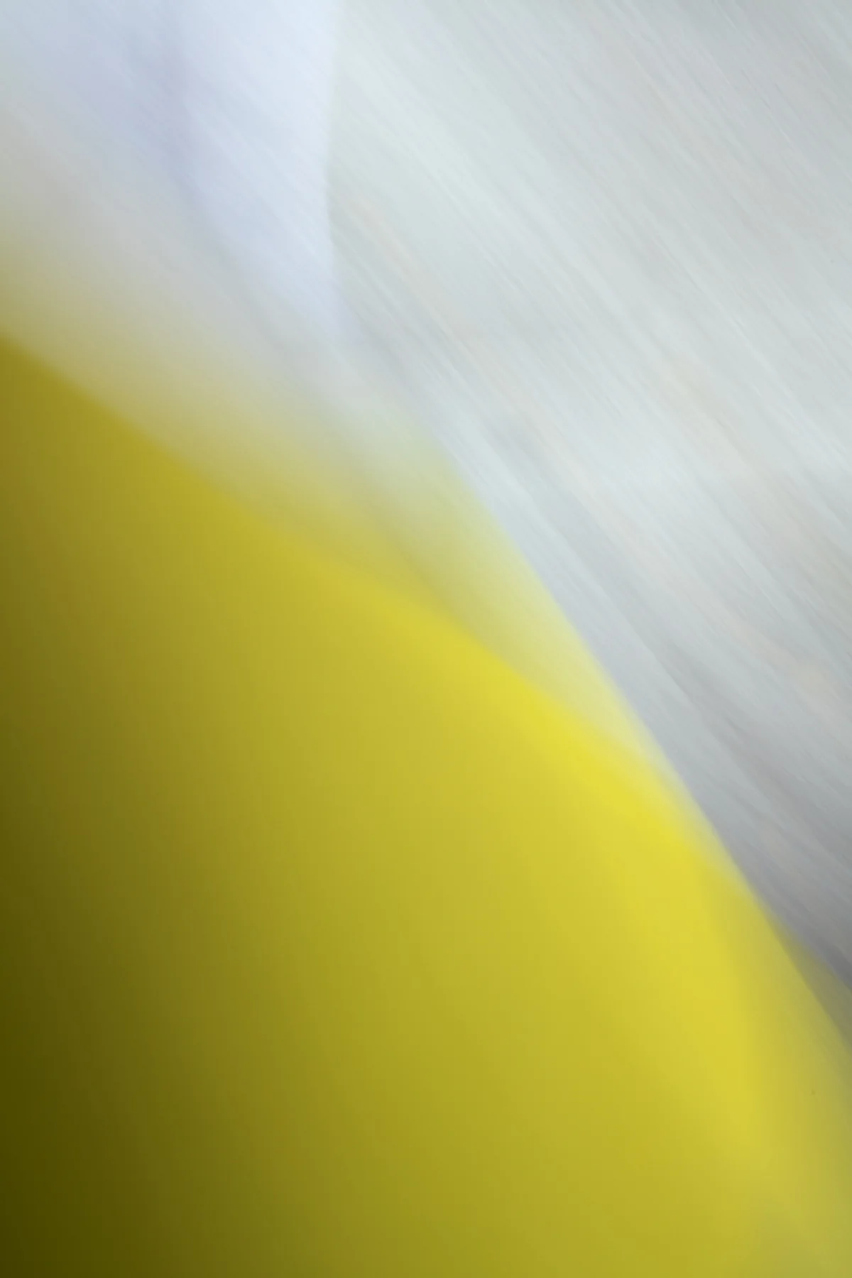Fallen Leaf, 2015