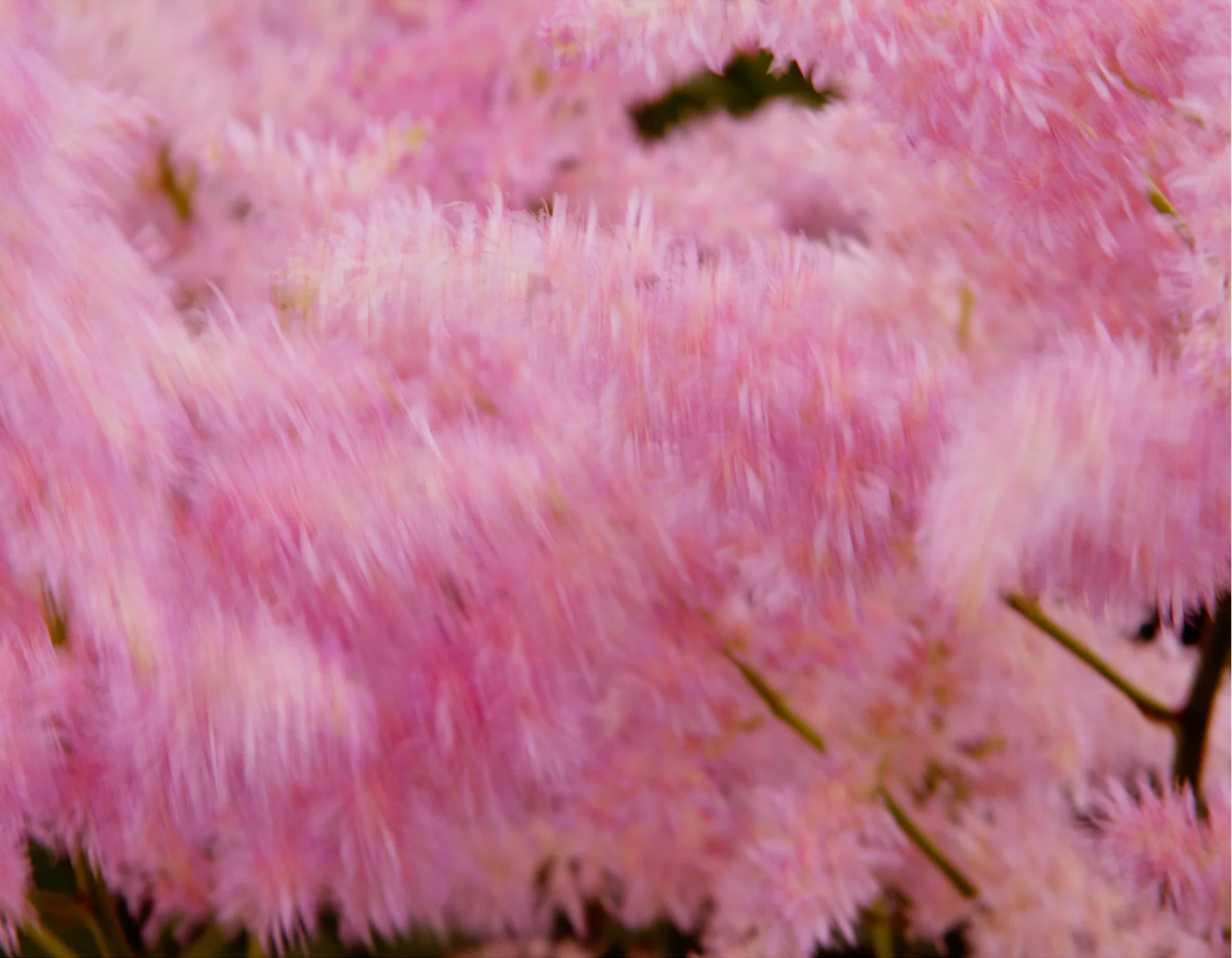 Blowing in the Wind 3, 2015