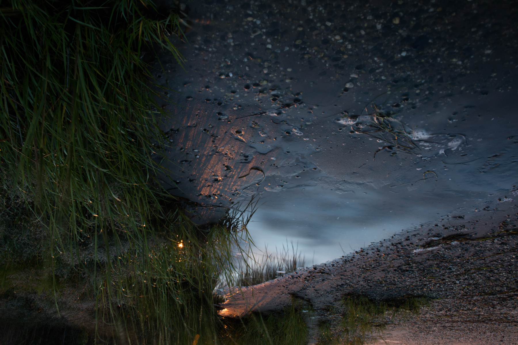 Moon Shine, 2015