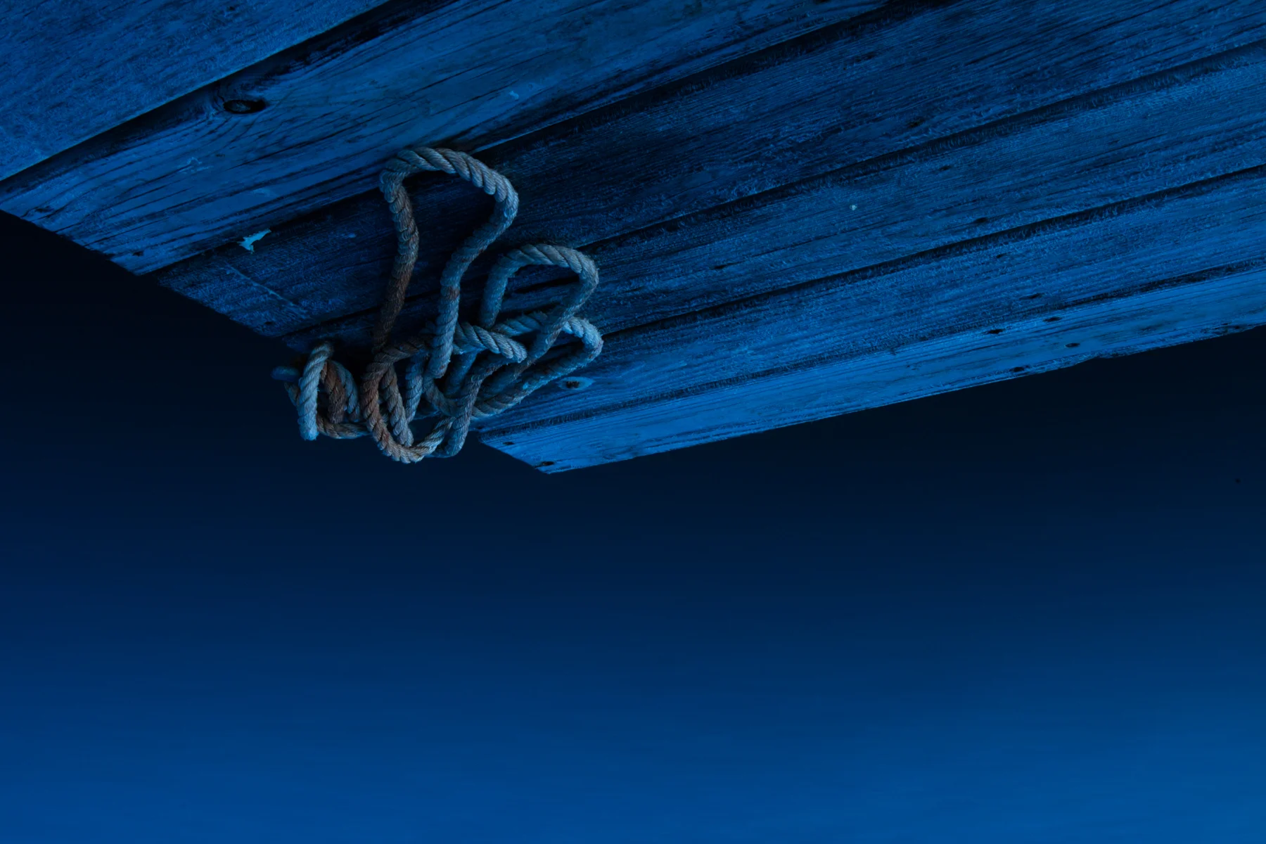 Tie me up, Tie me Down, 2015