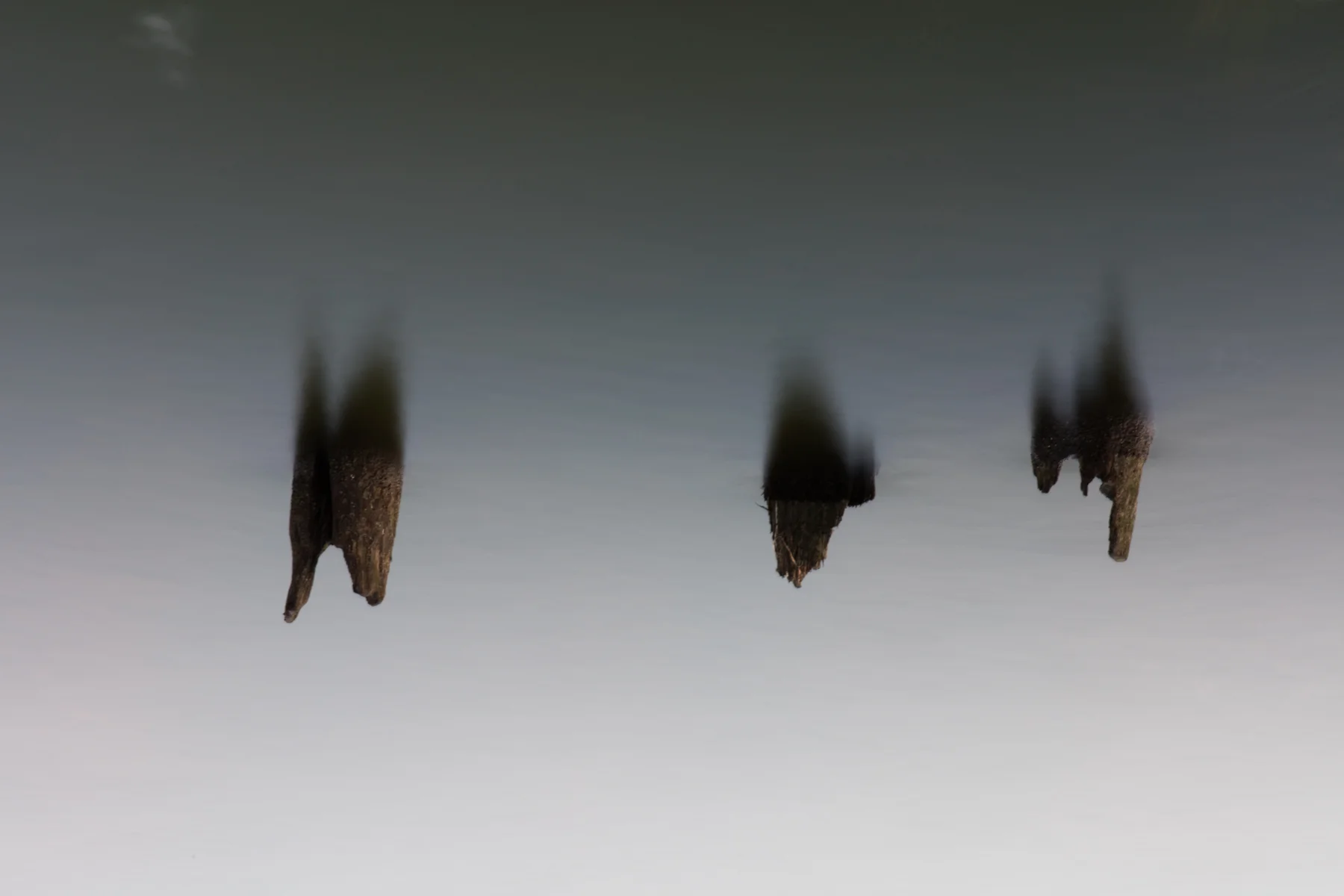 Invaders, 2015
