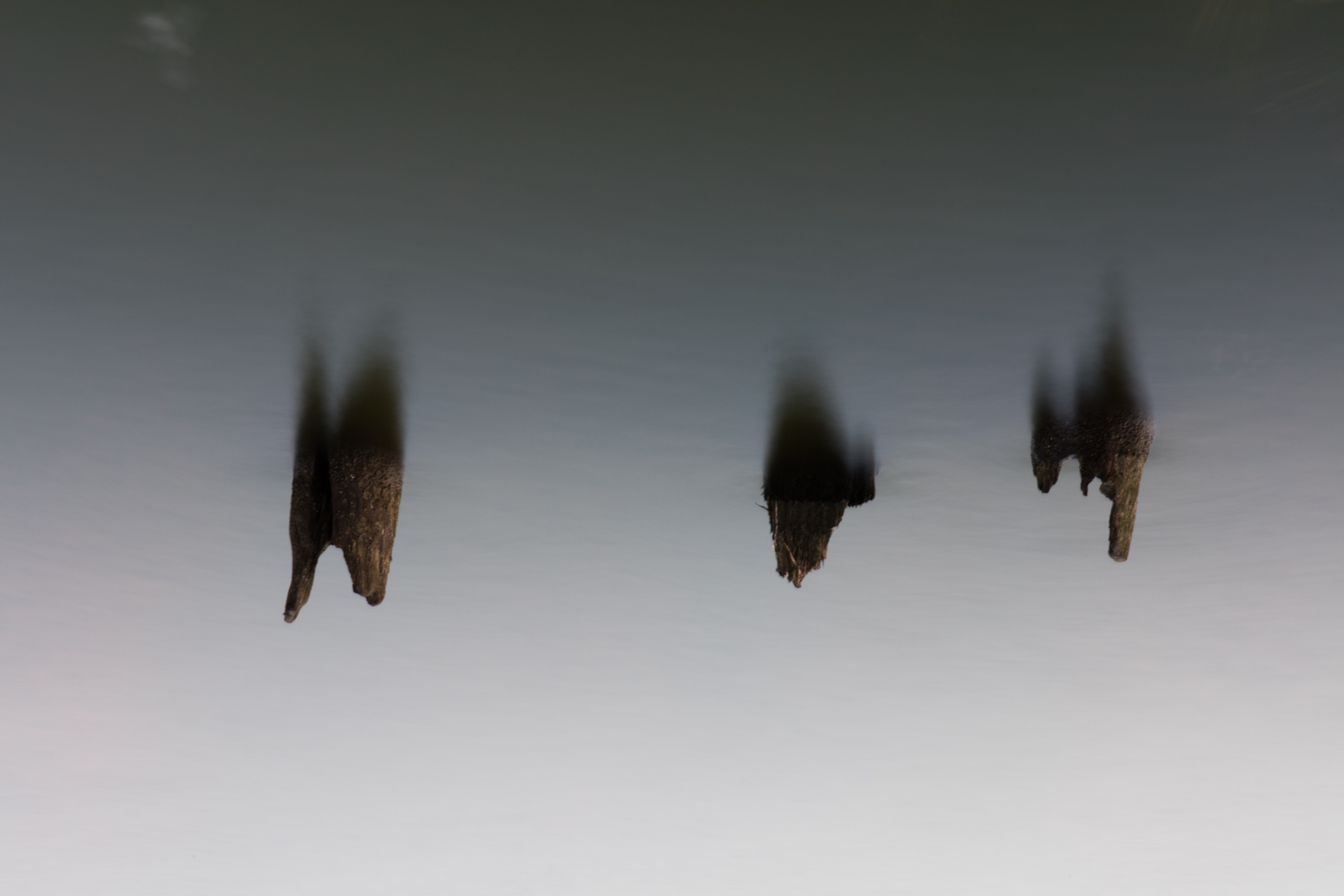 Invaders, 2015