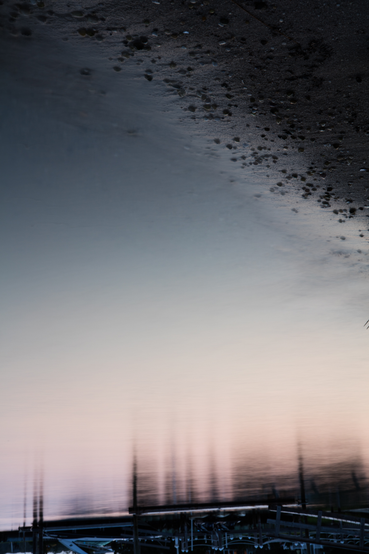 The Sky is Falling, 2015