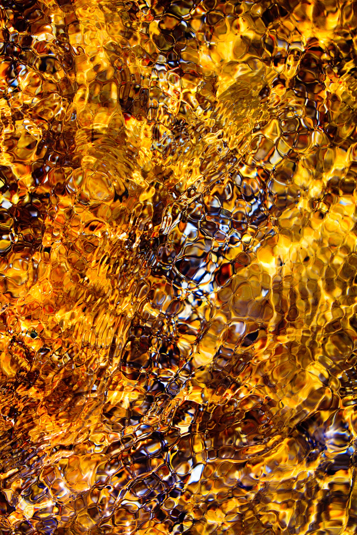 Fire, 2011