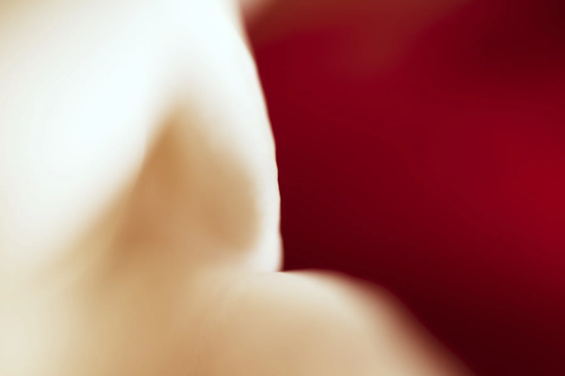 SHADE 15, 2017