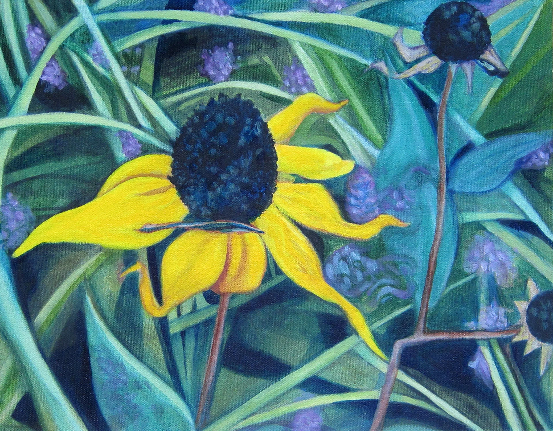 #5 Black-eyed Susans