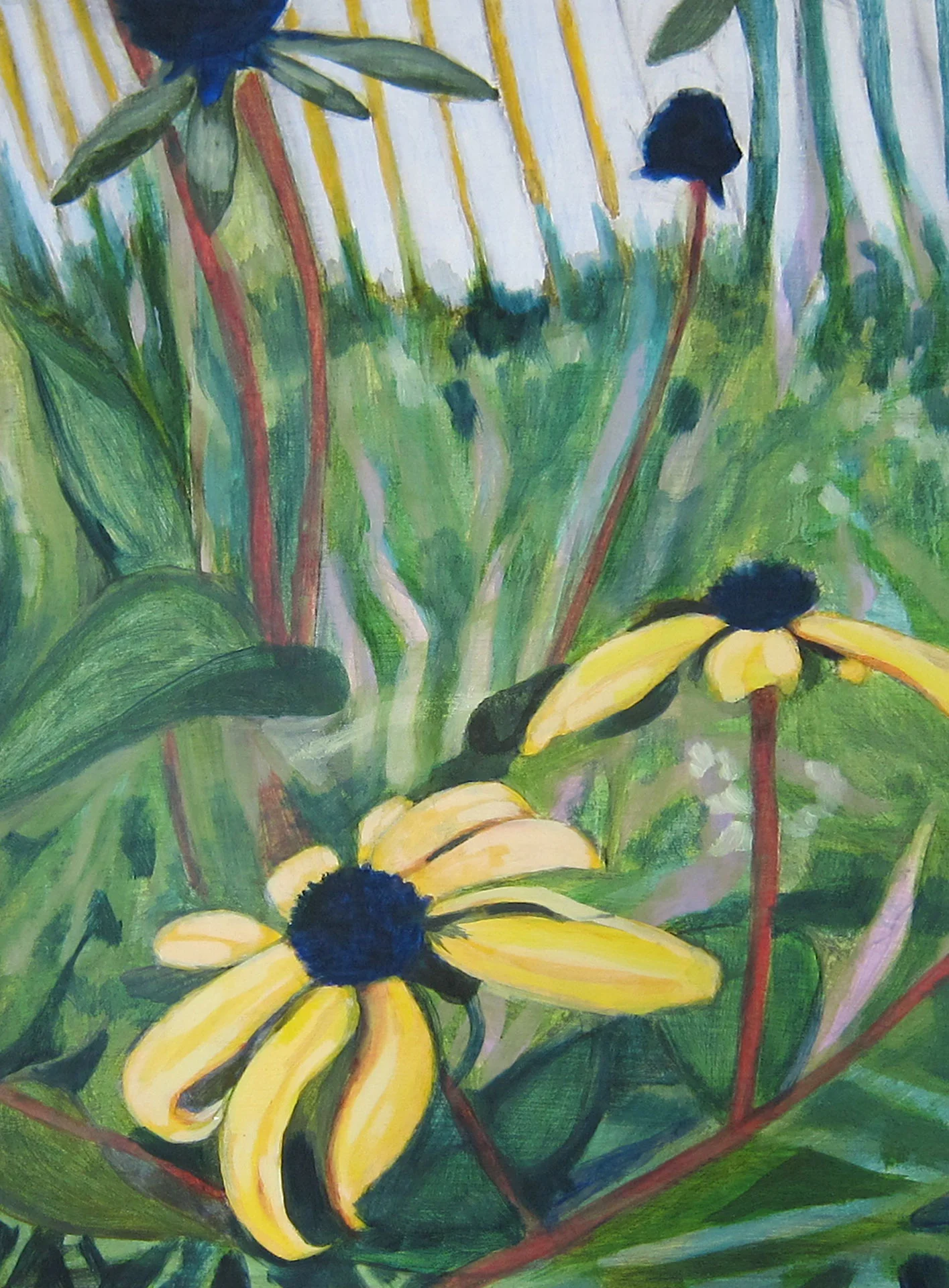 #12 Black-eyed Susans