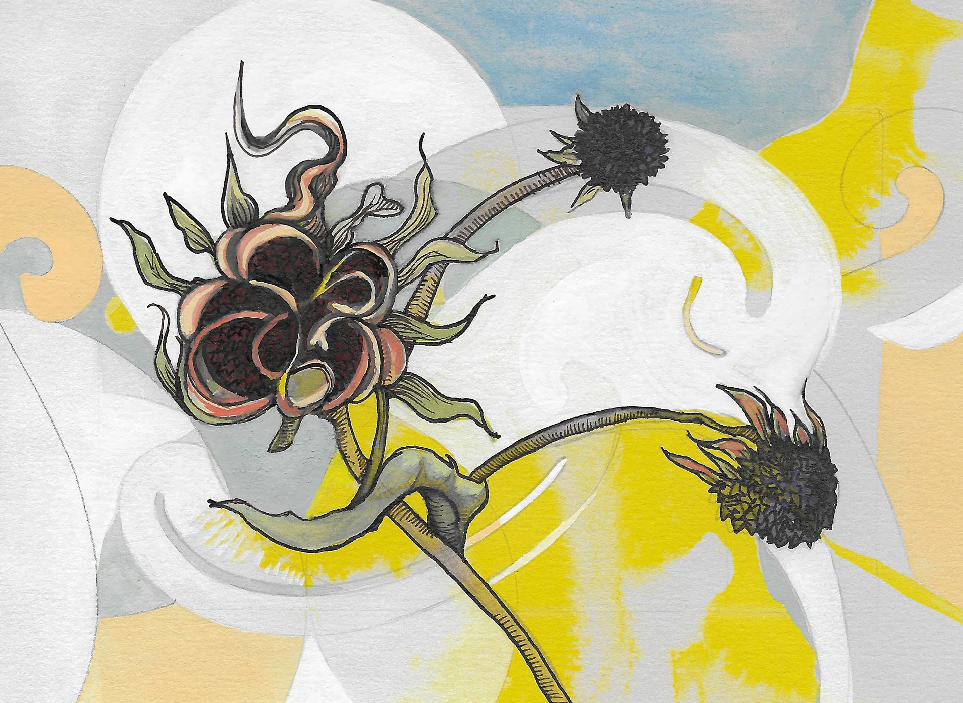 #8 Black-eyed Susans