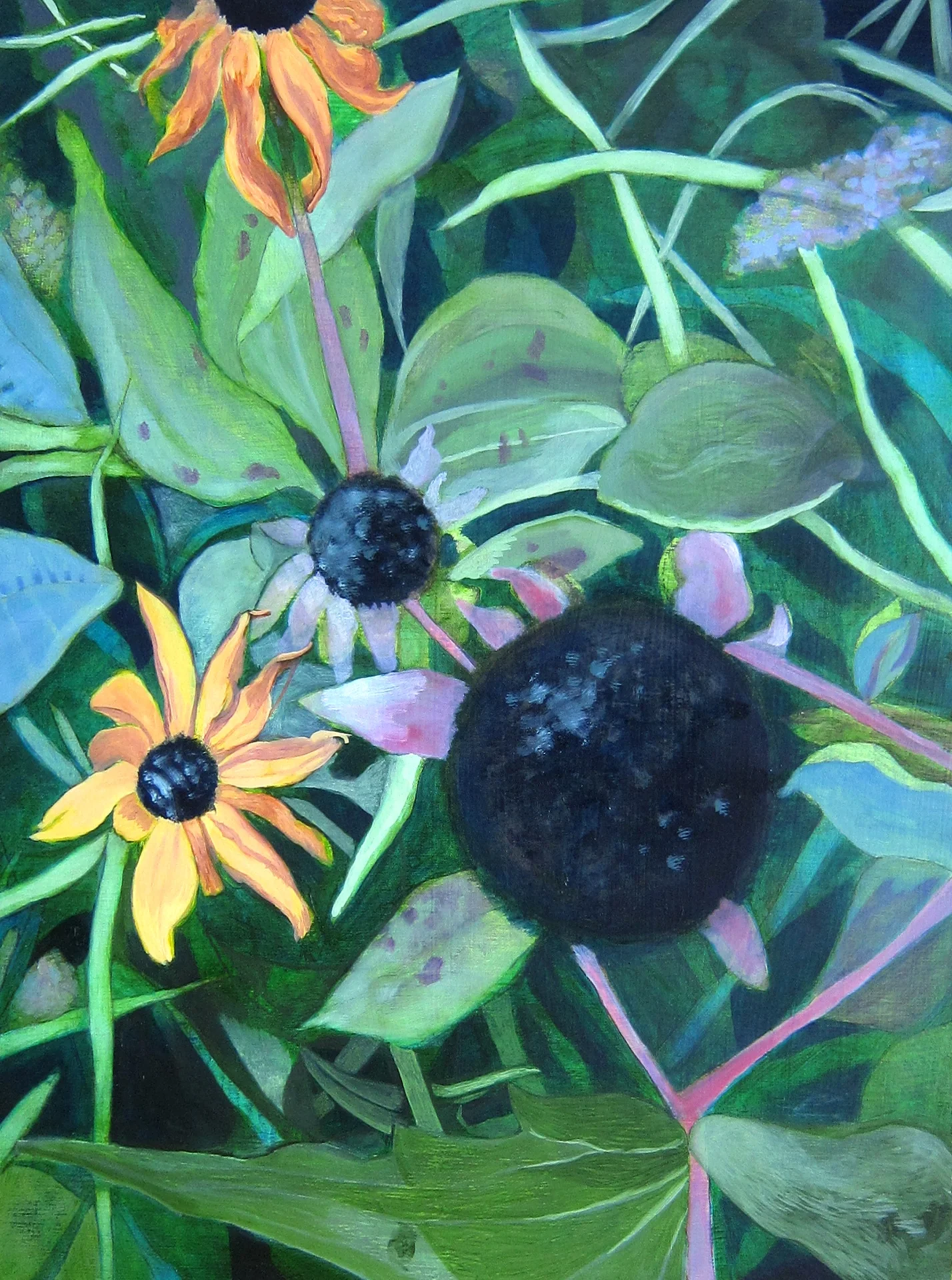 #4 Black-eyed Susans