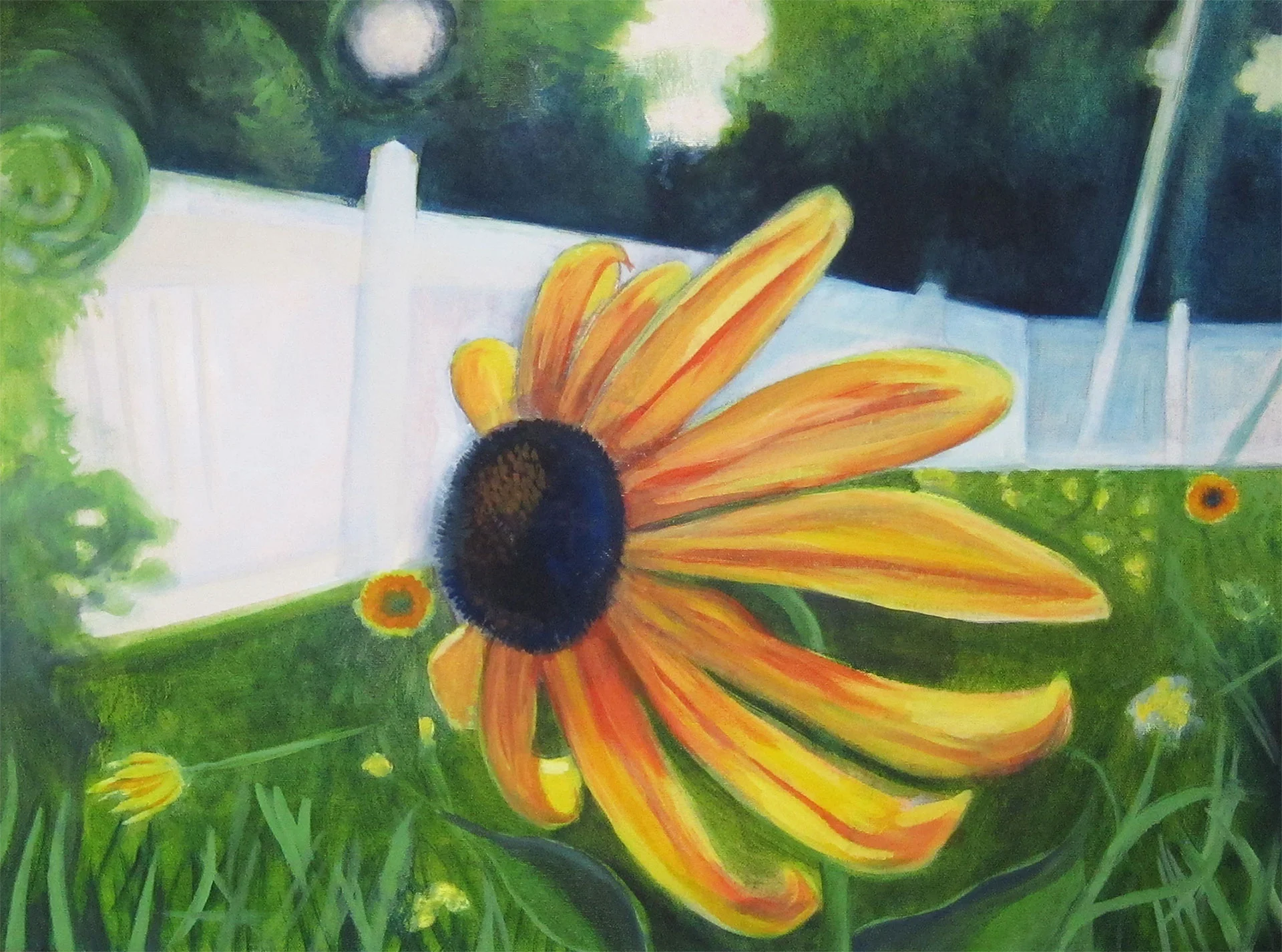 #1 Black-eyed Susans