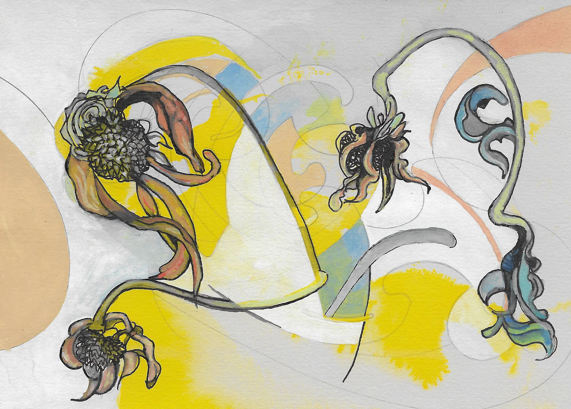 #9 Black-eyed Susans