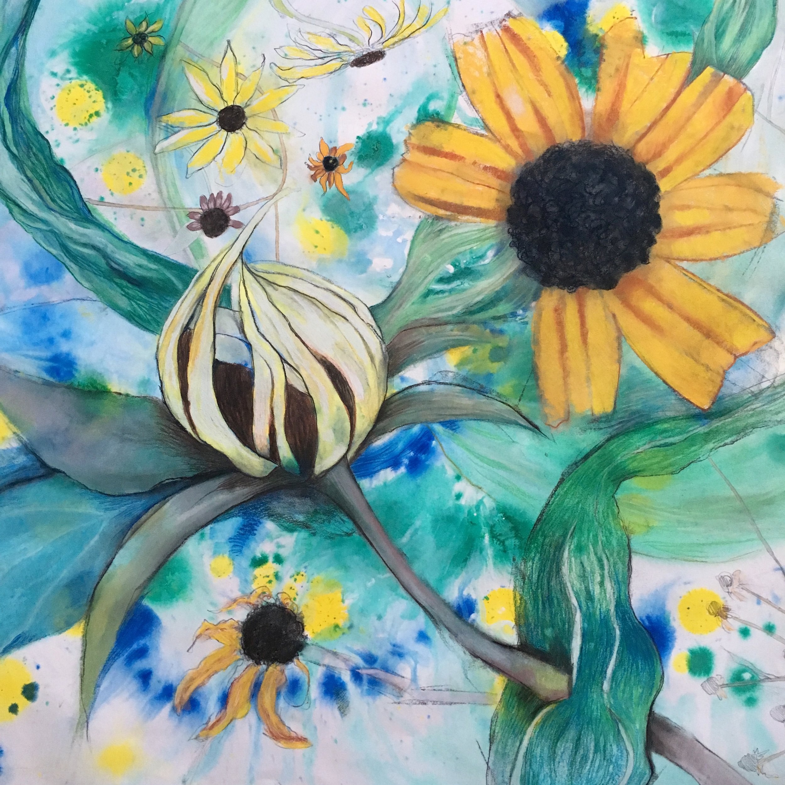Black Eyed Susan Dance