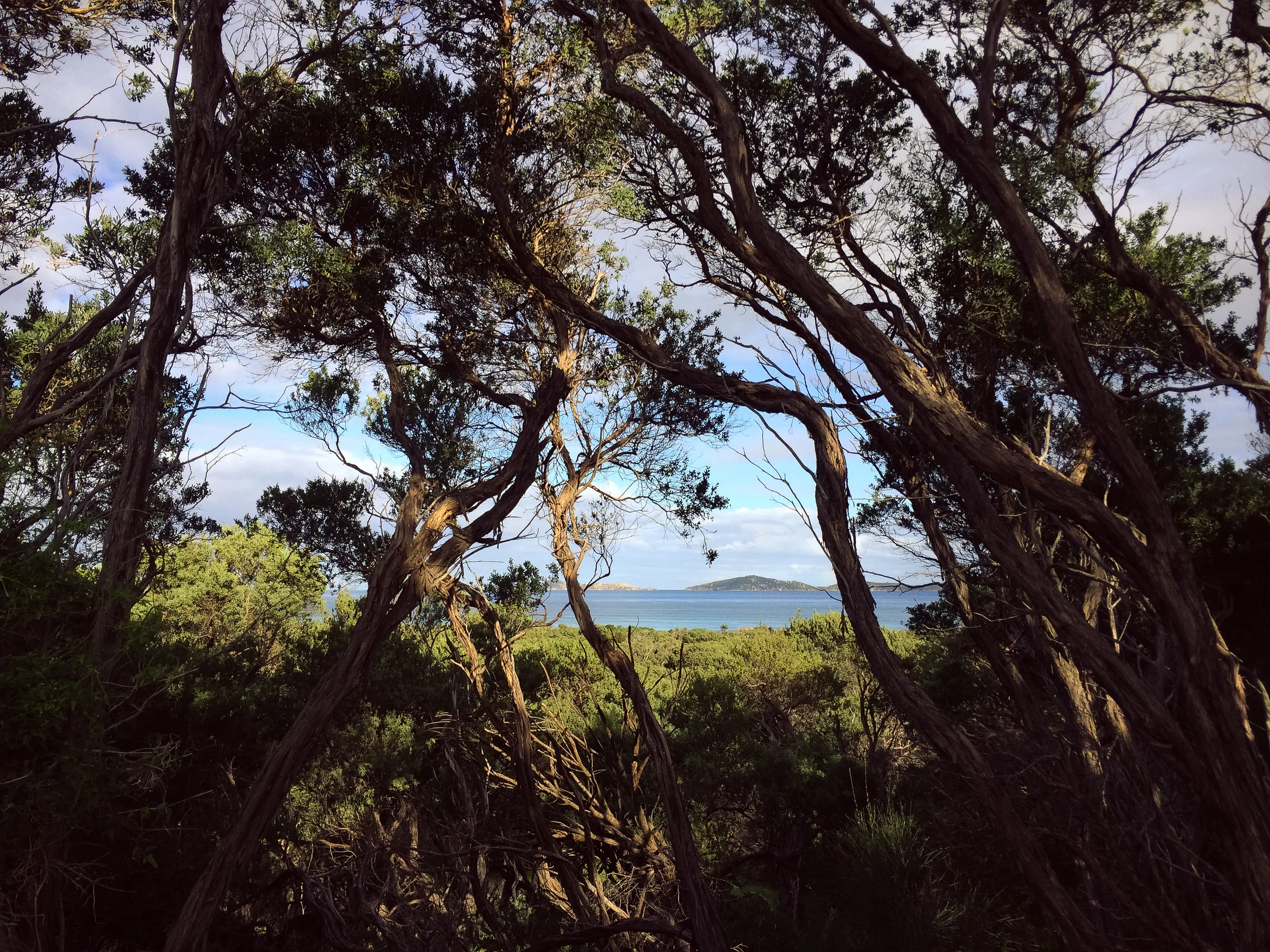 Wilsons Promontory National Park