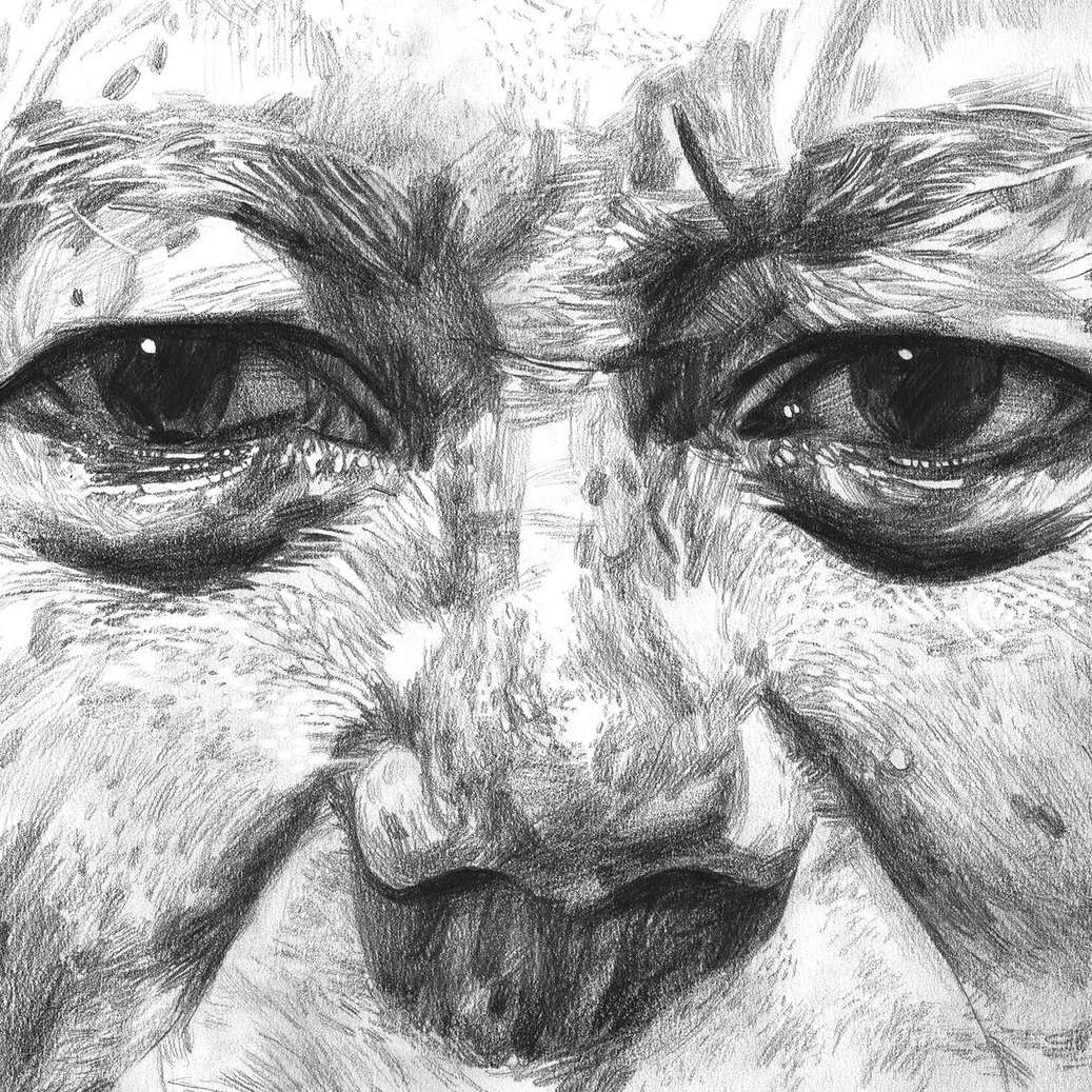 William's Eyes