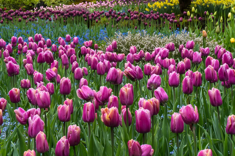 2014-04-27-_DSC0369-0016-14.jpg