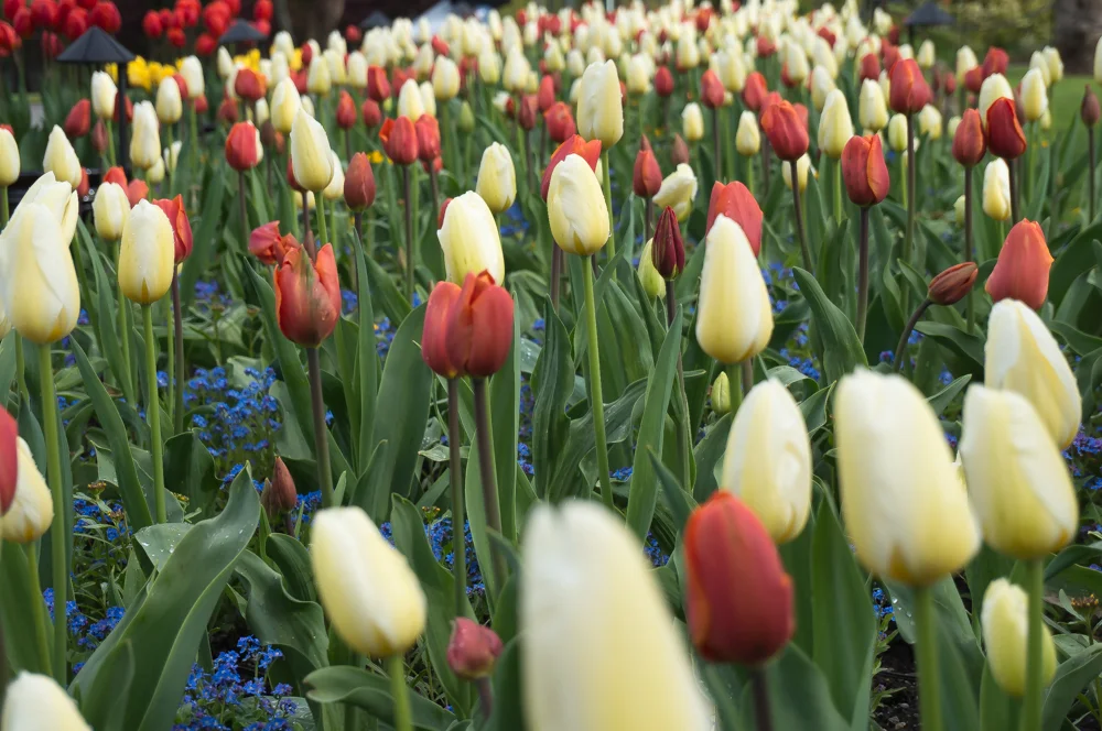 2014-04-27-_DSC0395-0042-24.jpg
