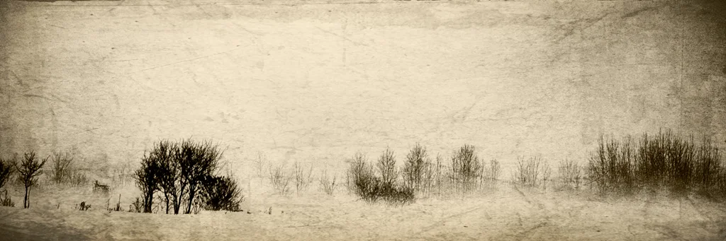 Fog over Snow #3