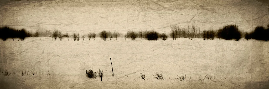 Flewelyn's Trees