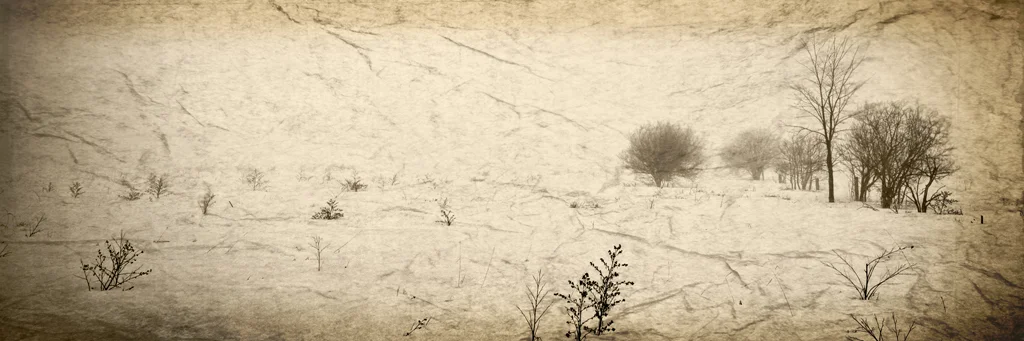 Bleak #1