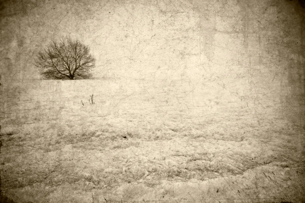 Bleak #2