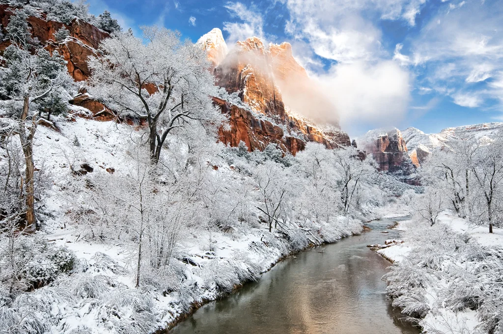 Zion in the Snow