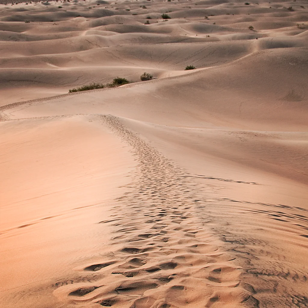 Mesquite Sand Dunes, Death Valley California
