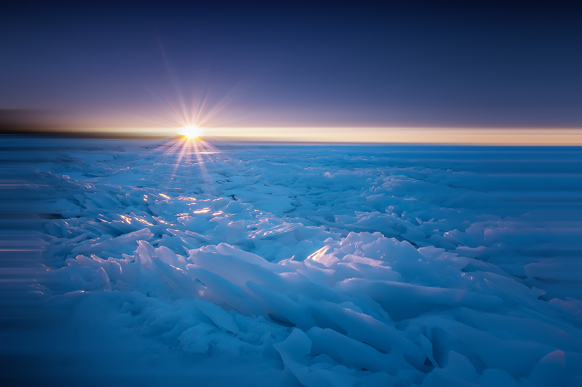 IMAGE DETAILS &amp; PRINTS