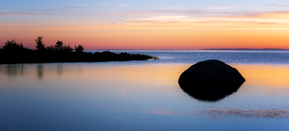 One Rock One Bird One Sunrise