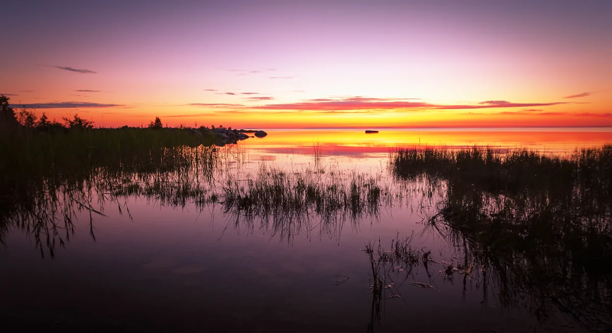 ROSE COLORED VIEW - USING FILTERS REAL OR DIGITAL TO ENHANCE BEAUTY