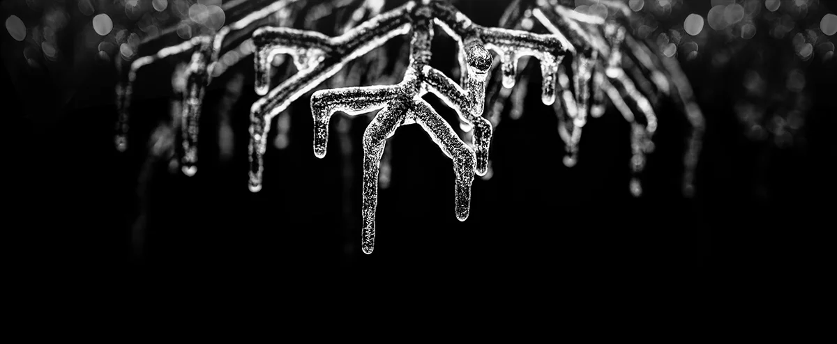 ELEMENTS OF BLACK AND WHITE - SIMPLICITY